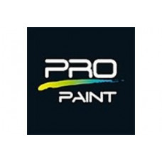 Pro-Paint